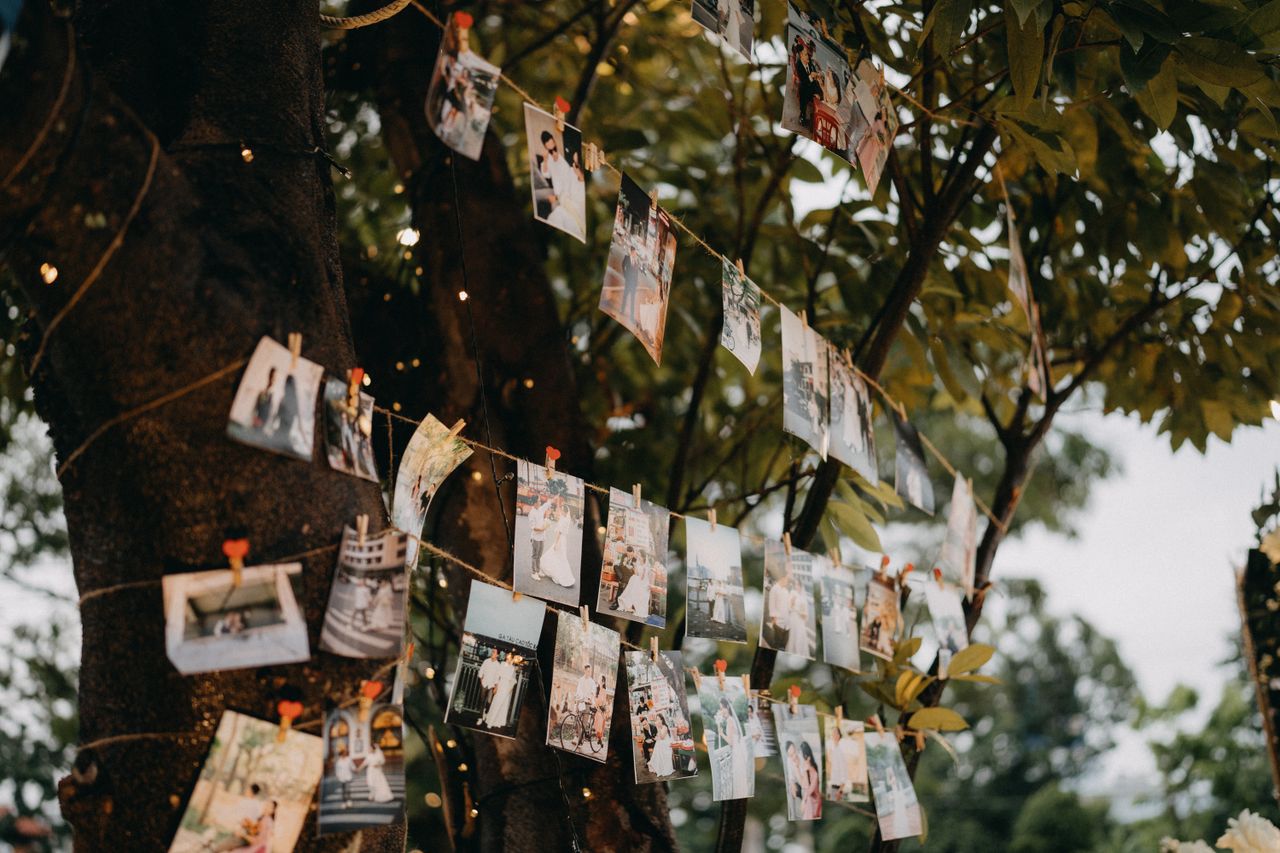 Offerings Outdoor display of photographs hanging from strings on a tree in a garden setting.